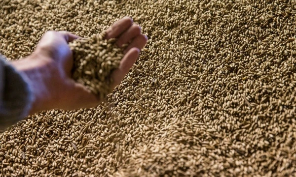 Juditos Grigelytės (VŽ) nuotr.