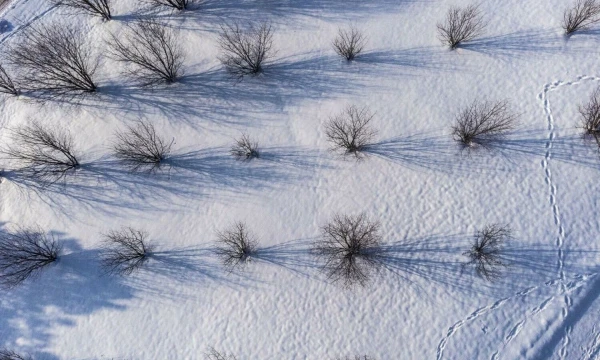 Vladimiro Ivanovo (VŽ) nuotr.