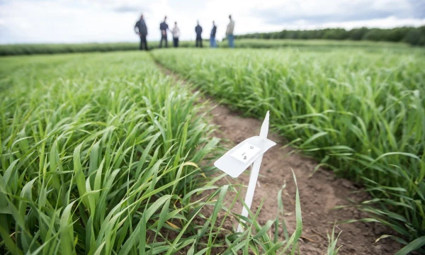 Juditos Grigelytės (VŽ) nuotr.