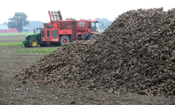 Nepanaudotos ES lėšos svyruoja nuo 18 iki 30 mln. Eur – priklauso nuo to, kas skaičiuoja. Algimanto Barzdžiaus nuotr.