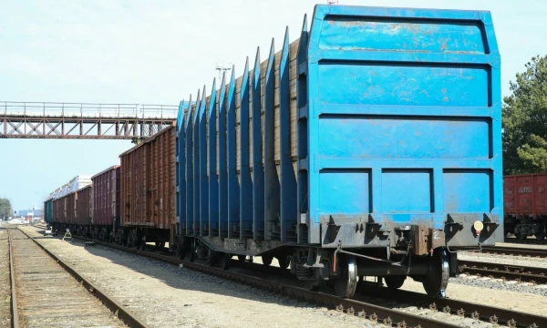 Vladimiro Ivanovo (VŽ) nuotr.