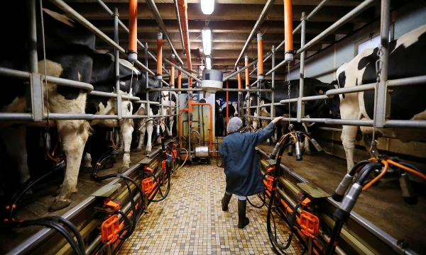 Stephane Mahe („Reuters“ / „Scanpix“) nuotr.