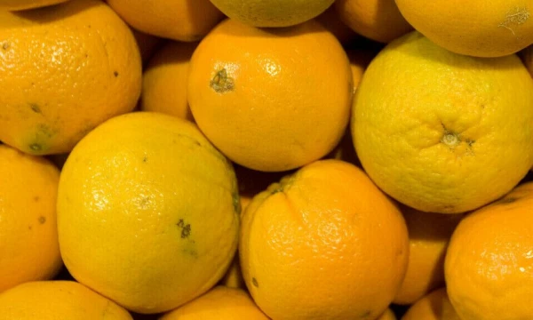 Juditos Grigelytės (VŽ) nuotr.