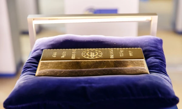 Vladimiro Ivanovo (VŽ) nuotr.