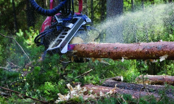 Juditos Grigelytės (VŽ) nuotr.