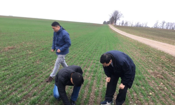 Lietuvos grūdų perdirbėjų asociacijos nuotr.