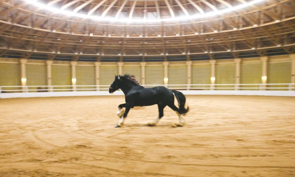  
Juditos Grigelytės (VŽ) nuotr.