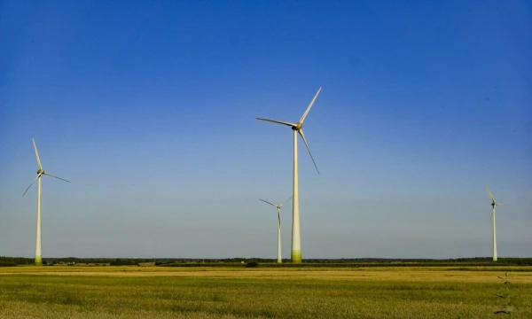 Algimanto Kalvaičio nuotr.