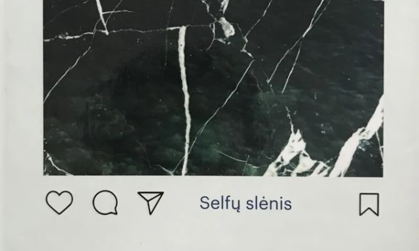 Monika Budinaitė, „Selfų slėnis“, Lietuvos rašytojų sąjungos leidykla, 2018 m., p. 192 