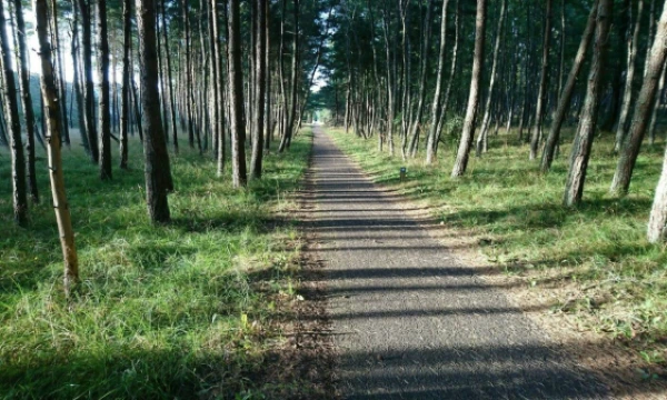 Lino Butkaus (VŽ) nuotr.