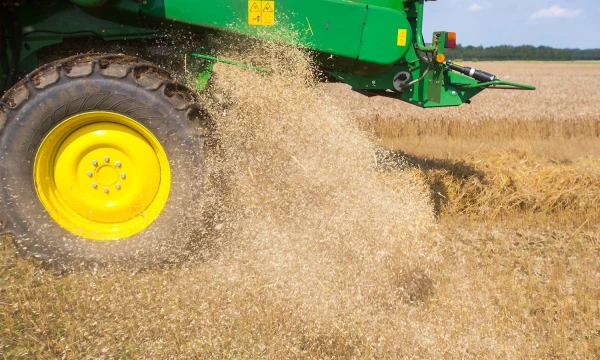 Vladimiro Ivanovo (VŽ) nuotr.