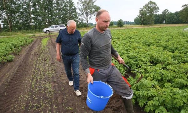 „VFarm“ dirba beveik visa Vasiliauskų šeima. Vladimiro Ivanovo (VŽ) nuotr.