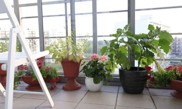 Augalai suteikia daug grožio ne tik balkonui, bet ir visam butui. Agnės Barauskienės nuotr.