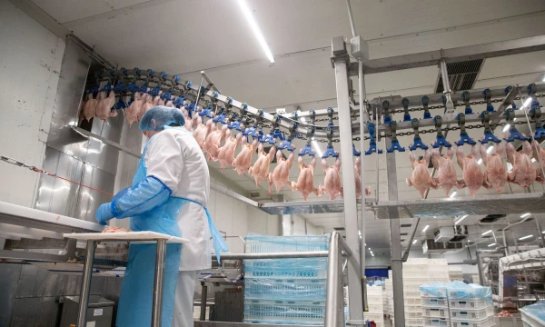 Vladimiro Ivanovo (VŽ) nuotr.