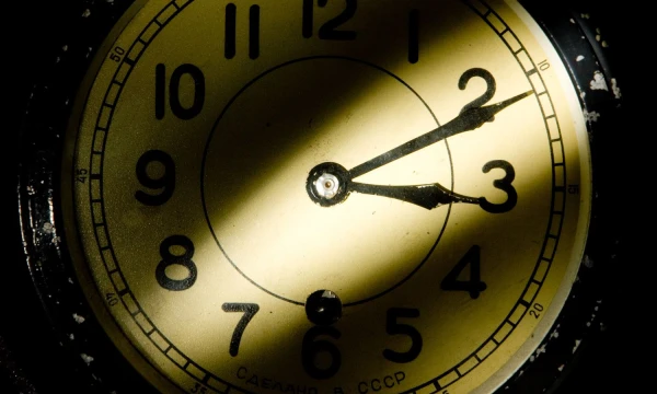 Vladimiro Ivanovo (VŽ) nuotr.