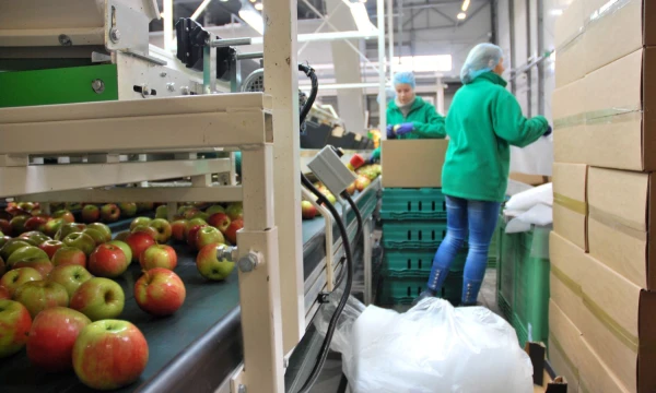 Kremliaus embargas nepadarė beveik jokios įtakos Lenkijos maisto produktų eksportui. Gintauto Degučio (VŽ) nuotr.
