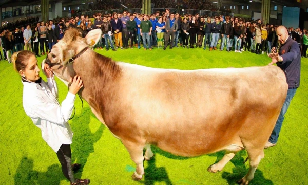 „La Presse“ / „Scanpix“ nuotr.