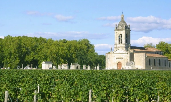Prancūzija. Bordo vynuogynai. Beatričės Laurinavičienės (VŽ) nuotr.