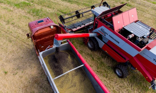 Vladimiro Ivanovo (VŽ) nuotr.