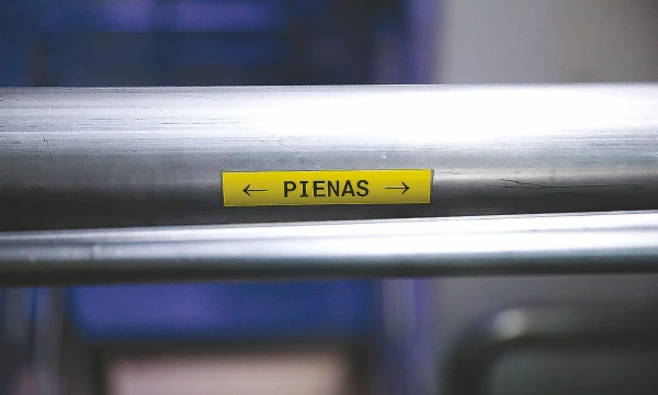 Šuolį išgyvenęs sektorius šiemet taip smarkiai neskubės. Vladimiro Ivanovo (VŽ) nuotr.