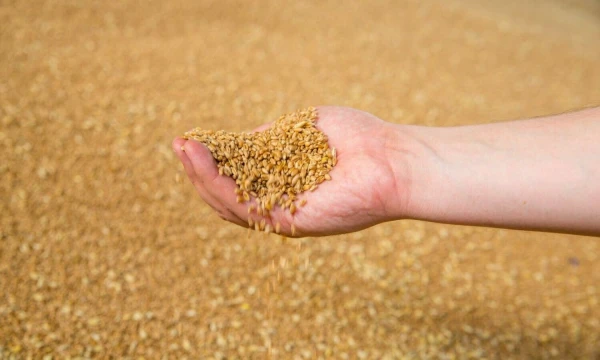 Vladimiro Ivanovo (VŽ) nuotr.