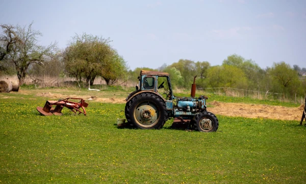 Vladimiro Ivanovo (VŽ) nuotr.