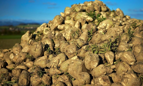 Deniso Balibouse („Reuters“ / „Scanpix“) nuotr.