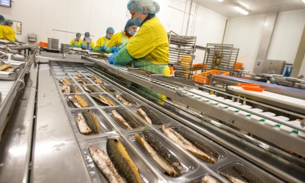 „Vičiūnų“ įmonių grupės žuvų perdirbimo ir žuvies produktų gamybos UAB „Baltic Food Partners“ fabrikas Plungėje. Juditos Grigelytės (VŽ) nuotr.