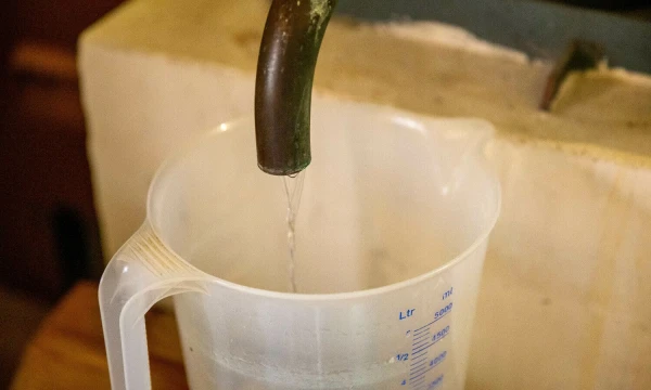 Vladimiro Ivanovo (VŽ) nuotr.