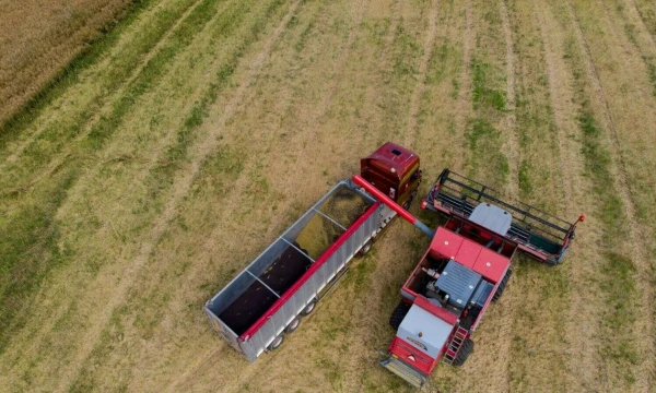 Vladimiro Ivanovo (VŽ) nuotr.