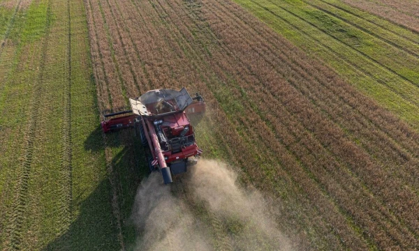 Vladimiro Ivanovo (VŽ) nuotr.