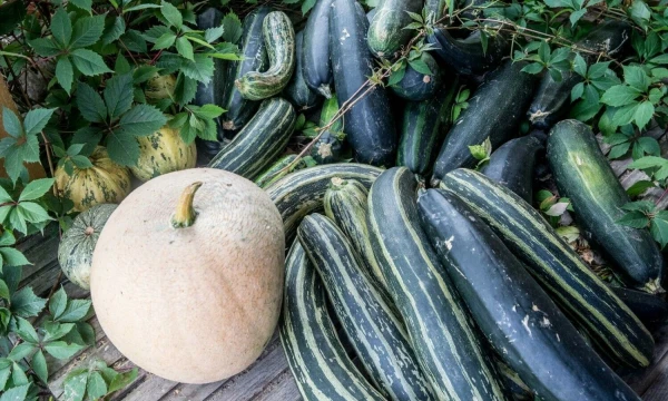 Juditos Grigelytės (VŽ) nuotr.