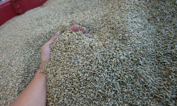 Juditos Grigelytės (VŽ) nuotr.