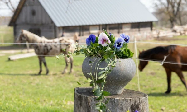 Žirgynas Molėtų rajone „Molėtų žirgai“. Juditos Grigelytės (VŽ) nuotr.