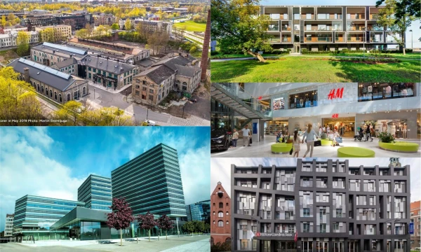 Nugalėtojai 5-iose kategorijose. VŽ koliažas.