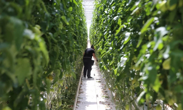 Vladimiro Ivanovo (VŽ) nuotr.