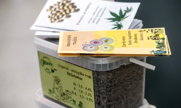 Vladimiro Ivanovo (VŽ) nuotr.