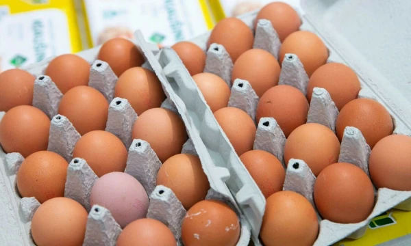 Juditos Grigelytės (VŽ) nuotr.