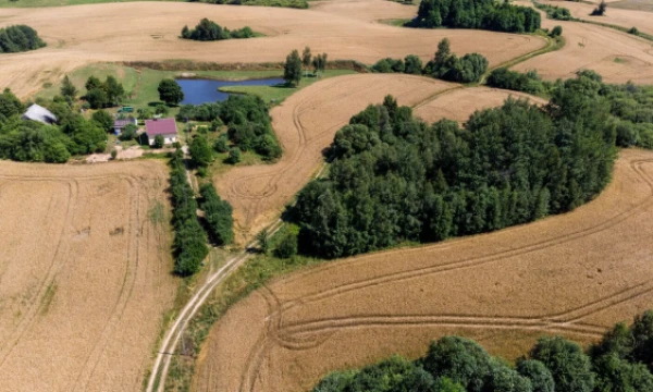 Vladimiro Ivanovo (VŽ) nuotr.