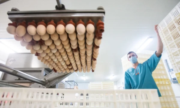 Juditos Grigelytės (VŽ) nuotr.