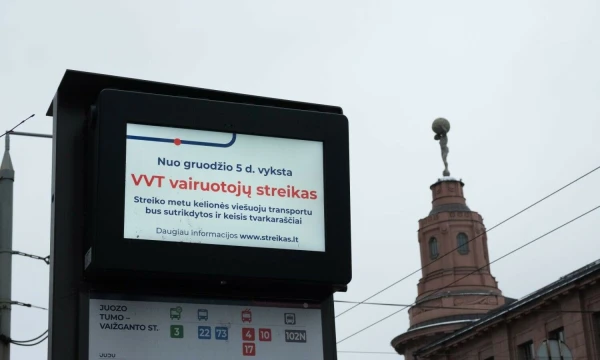 Vladimiro Ivanovo (VŽ) nuotr.