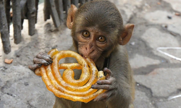 Rupako De Chowdhurio („REUTERS“ / Scanpix“) nuotr.