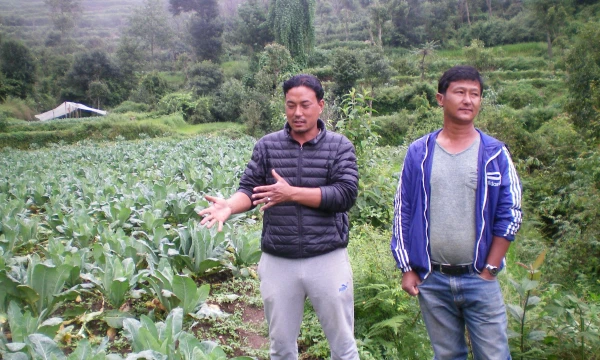 Nepale ūkininkai daržoves gali auginti visus metus.
Mildos Tarcijonaitės Nuotr.