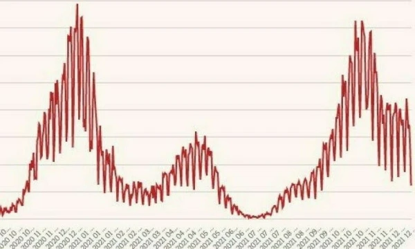 Naujų koronaviruso atvejų kreivė. VŽ infografikas.