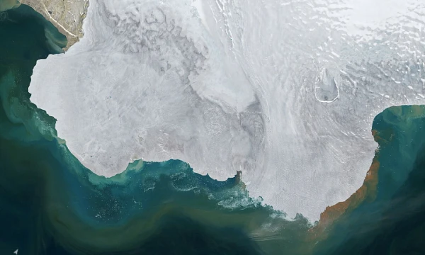 Palydovinės nuotraukos atskleidžia, kaip tirpsta Arkties Svalbardo ledynas. NASA / „ZUMA Press“ / „Scanpix“ nuotr.