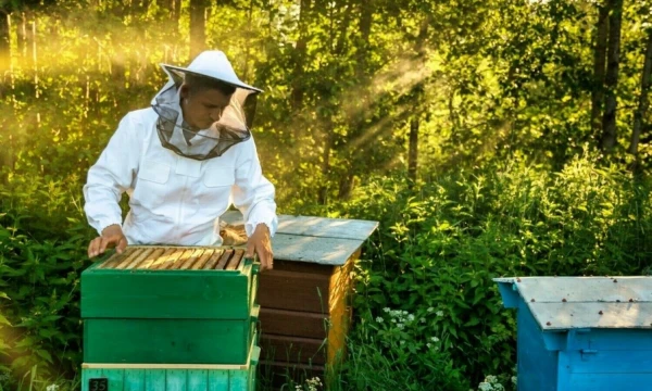 Laimonas Galvonas, UAB „Medaus namai“ įkūrėjas. Bendrovės nuotr.