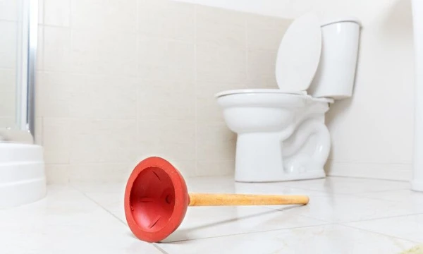 Retas žmogus susimąsto, kuo skiriasi klozetas nuo unitazo. MATTON nuotr.