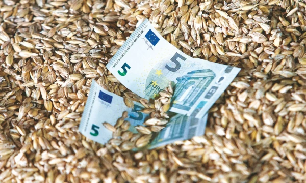 Žemės ūkio veiklą vykdančių įmonių pelnas dabar apmokestinamas lengvatiniu 5% pelno mokesčio tarifu, o tokią veiklą vykdančių gyventojų pajamos neapmokestinamos iš viso.
Juditos Grigelytės (VŽ) nuotr.