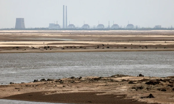 Zaporižios AE. Anatolijaus Stepanovo (AFP /„Scanpix) nuotr.