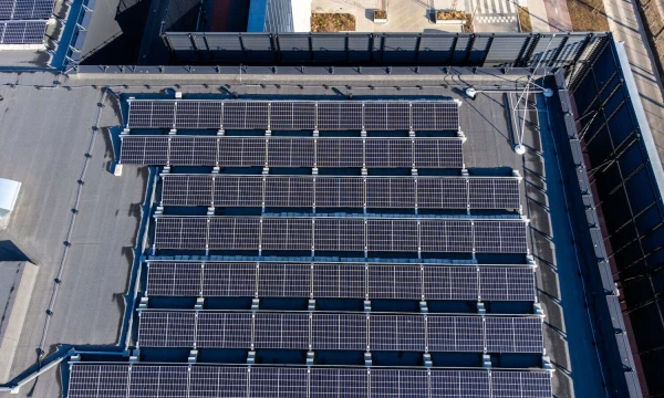 Vladimiro Ivanovo (VŽ) nuotr.